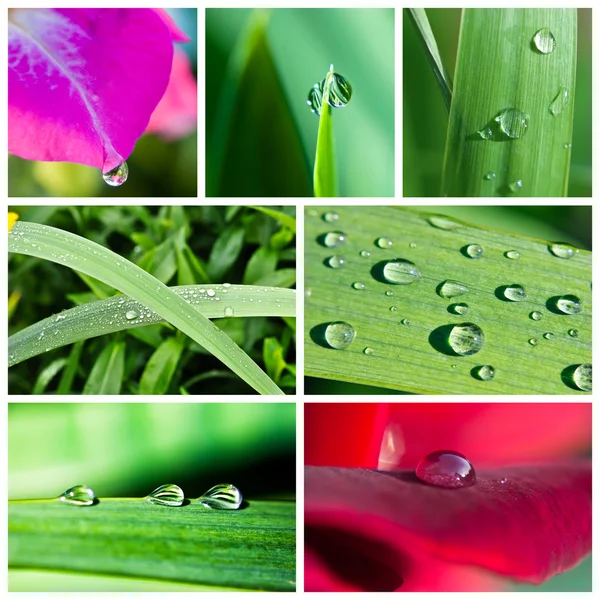Waterdruppels collage — Stockfoto