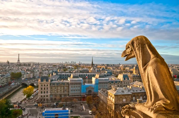Wasserspeier auf Notre Dame de Paris lizenzfreie Stockbilder