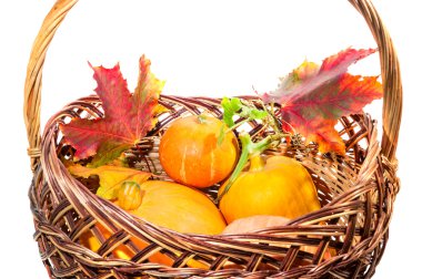 Düşmek hasat: kabak ve sonbahar yaprakları sepet izole o