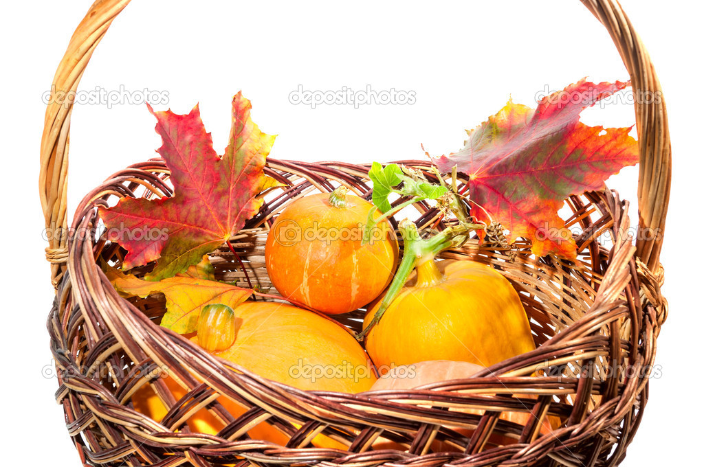 Fall harvest: pumpkin and autumn leaves in the basket isolated o