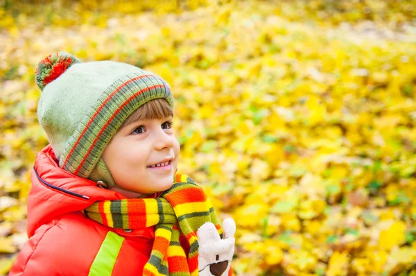 Gelukkige jongen glimlachend in herfst park — Stockfoto