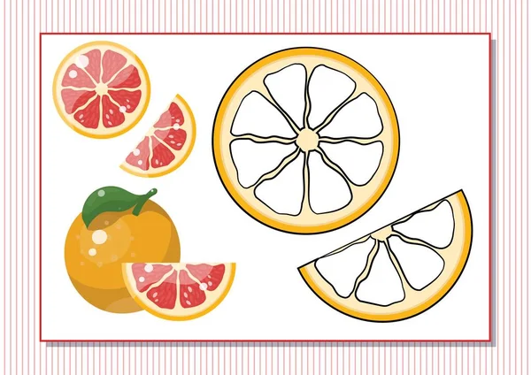 Druckfähiges Arbeitsblatt. Malbuch. Niedliche Cartoon-Grapefruit. Vektorillustration. Horizontale DIN-A4-Seite Farbe rot — Stockvektor