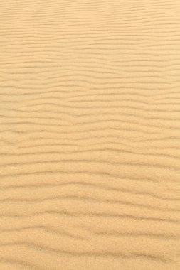 en yüksek kumul Avrupa - pile (pilat dune kum dalgaları),