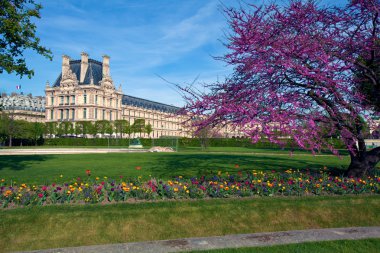 Louvre Müzesi ve jardin des tuileries (tuileries Bahçesi), p