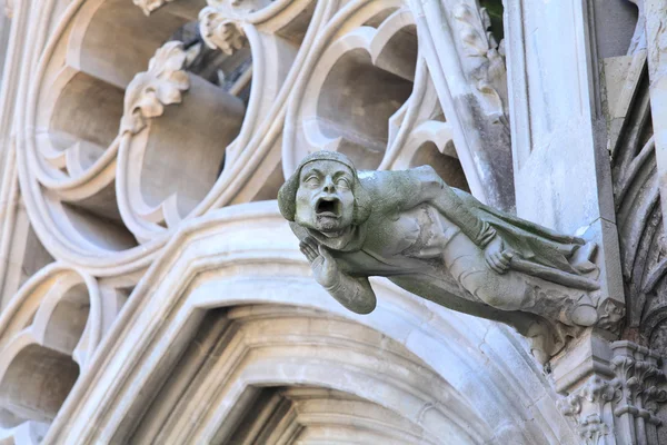 Gargoyle basilique Saint-Jean-nazaire-et-saint-celse, carcassonne — Stok fotoğraf