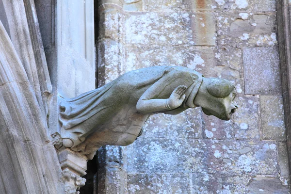 Wasserspeier der Basilika Saint-Nazaire-et-Saint-Celse, Carcassonne — Stockfoto