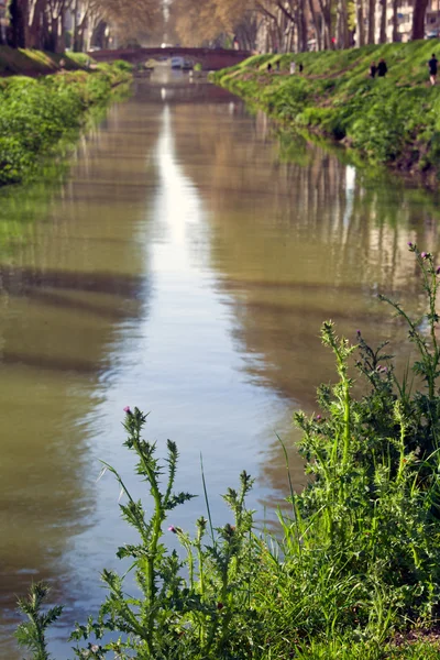 Canal de Brienne, Тулуз, Франция — стоковое фото