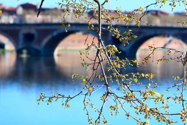 Pont (Bridge) Neuf (XVII c.) across Garonne, Toulouse, France — Stock Photo, Image