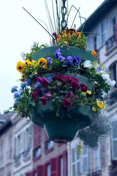 Pouliční dekorace, bayonne, Francie — Stock fotografie