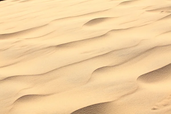 Sand waves on the highest dune in Europe - Dune of Pyla (Pilat), — Stock Photo, Image