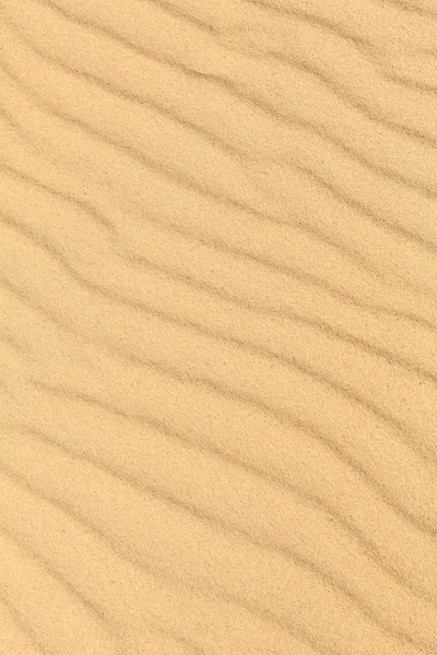 Sand waves on the highest dune in Europe - Dune of Pyla (Pilat), — Stock Photo, Image