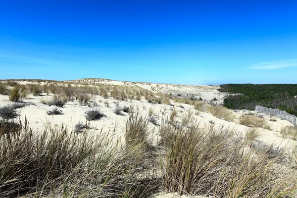 Typický pohled na pobřeží Atlantiku linie, aquitaine, Francie — Stock fotografie