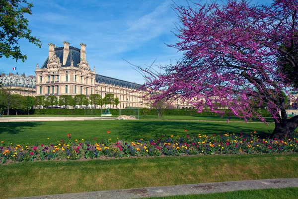 Louvre museum en de jardin des tuileries (de tuileries garden), p — Stockfoto