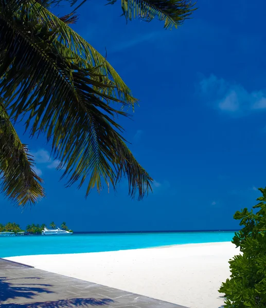 Praia de areia e navios oceânicos, Ari-Atoll. Maldivas — Fotografia de Stock