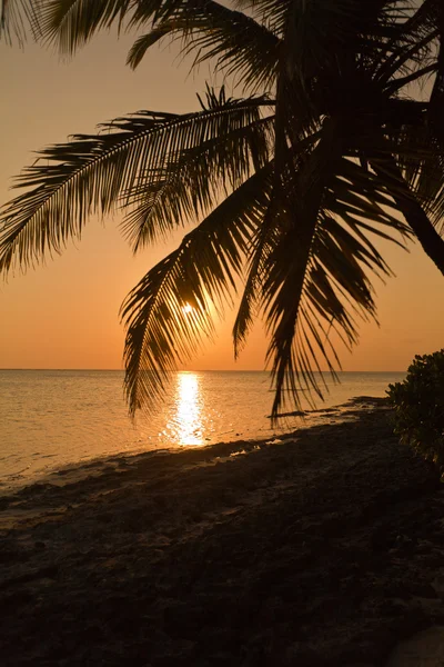 Pôr do sol quente tropical — Fotografia de Stock