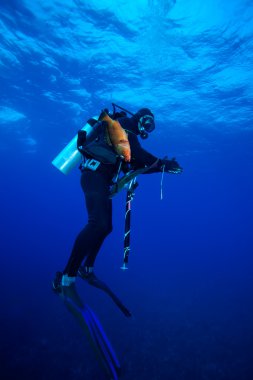 mızrak balıkçı ile zıpkın