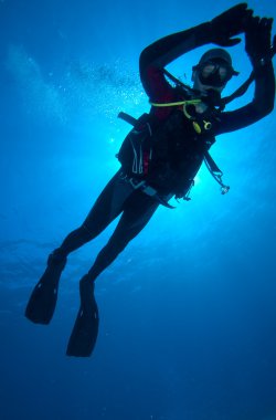 Güneş diski olan dalgıç silüeti