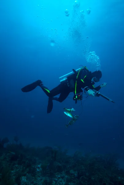 Pescador de lanzas con lanza — Foto de Stock