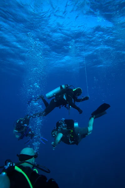 Group of divers on 5-min safety stop, Cuba — Stock Photo, Image