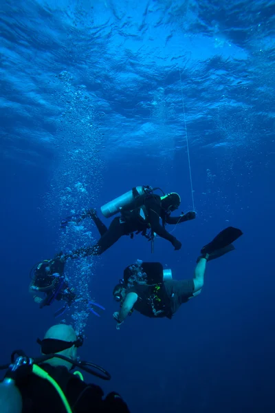 Gruppo di sommozzatori alla fermata di sicurezza di 5 minuti, Cuba — Foto Stock