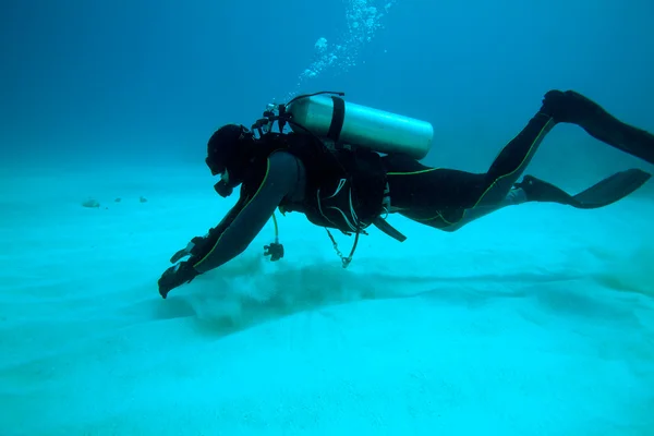 Potápěč poblíž písečné dno, Kuba — Stock fotografie