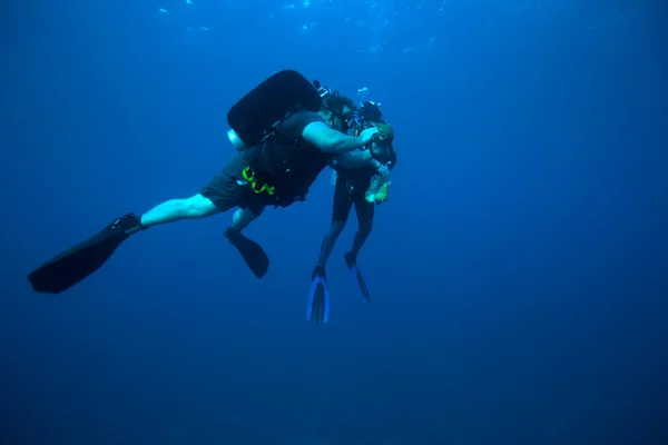 Dvě potápěč shromažďování skořápek, Kuba — Stock fotografie