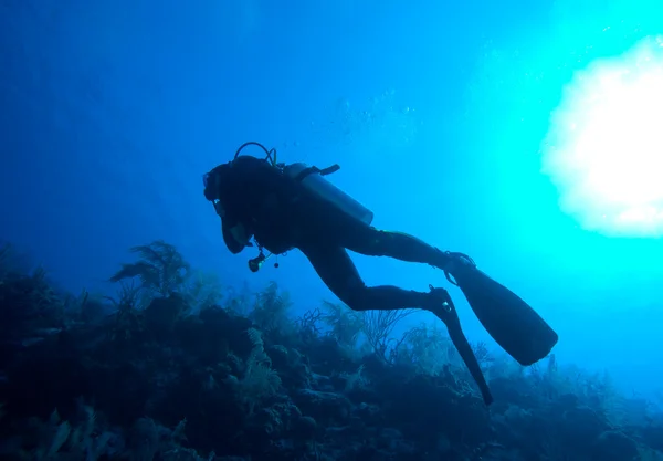 Silhouette of diver with sun disk behind — Stock Photo, Image