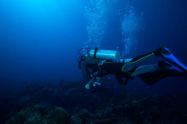 Two divers with air-bublles, Cuba — Stock Photo, Image