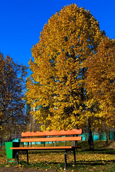 Ławka w parku jesień, chertanovo centralnoe, Moskwa — Zdjęcie stockowe