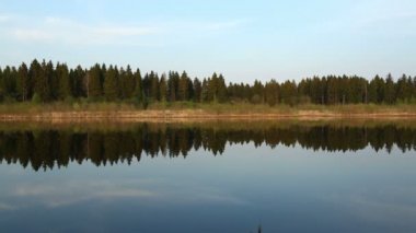 ayna sakin su ve çam ağacı orman.