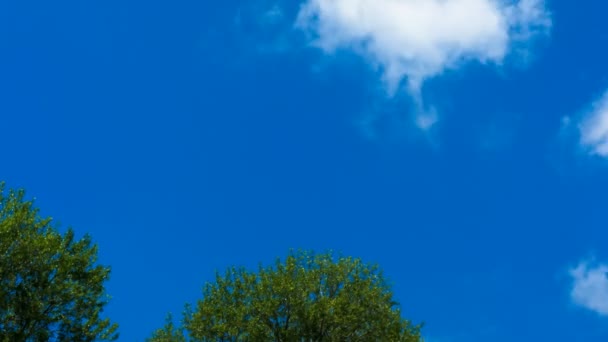時間経過は: 曇りに澄んだ青い空から変更の天気 — ストック動画
