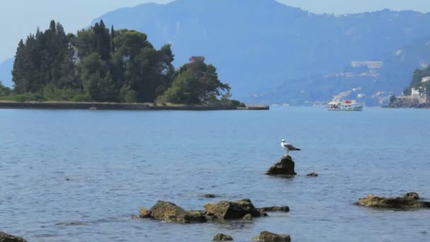 Gaviota y barco, navegando desde la isla Pontikonisi, Kanoni, Corfú, Grecia — Vídeos de Stock