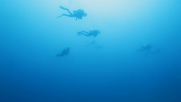 Groupe de plongeurs en bleu océan 