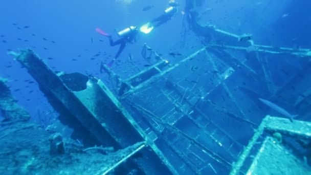 Divers exploring Zenobia shipwreck, Cyprus — Stock Video