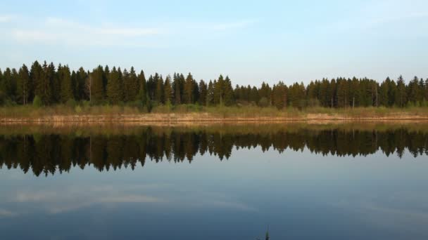 Miroir d'eau calme et forêt de pins .
