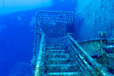 Zenobia gemi enkazı yakınında paphos, Kıbrıs