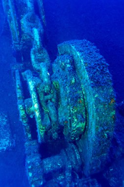 Zenobia gemi enkazı yakınında paphos, Kıbrıs