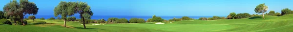Panorama von Golfplatz, Meer und Oliven — Stockfoto