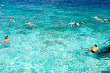 tropikal mercan resif şnorkel