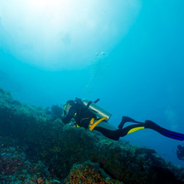 scuba diver yakın deniz dip silüeti