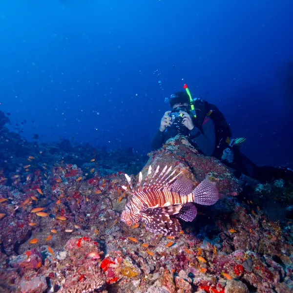 Photographe sous-marin et poisson — Photo