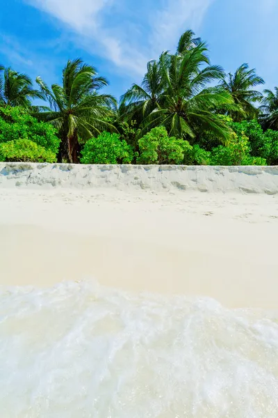 Tropical Beach with Palm Trees — Stock Photo, Image