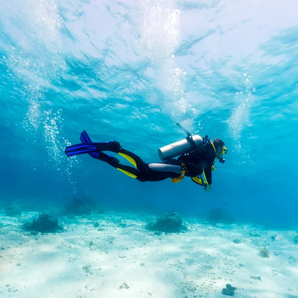 Силует Scuba Diver поблизу морське дно — стокове фото