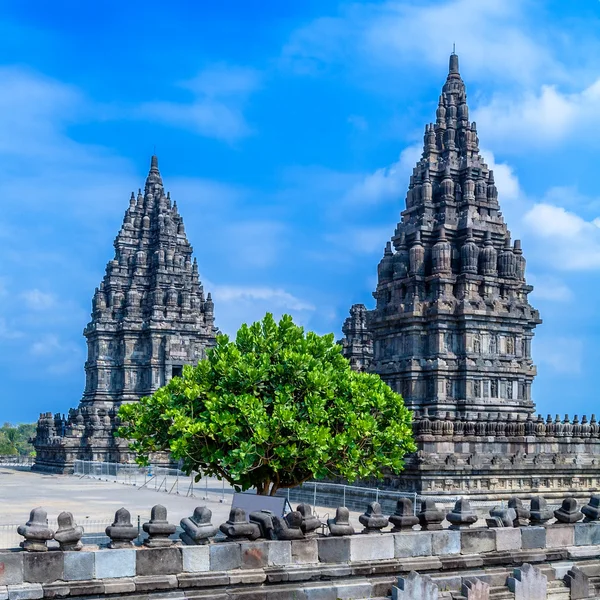 Templo Hindú Prambanan, Java — Foto de Stock