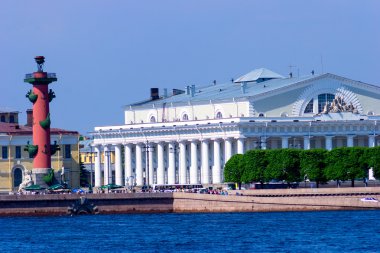 Borsa ve rostral sütunlar