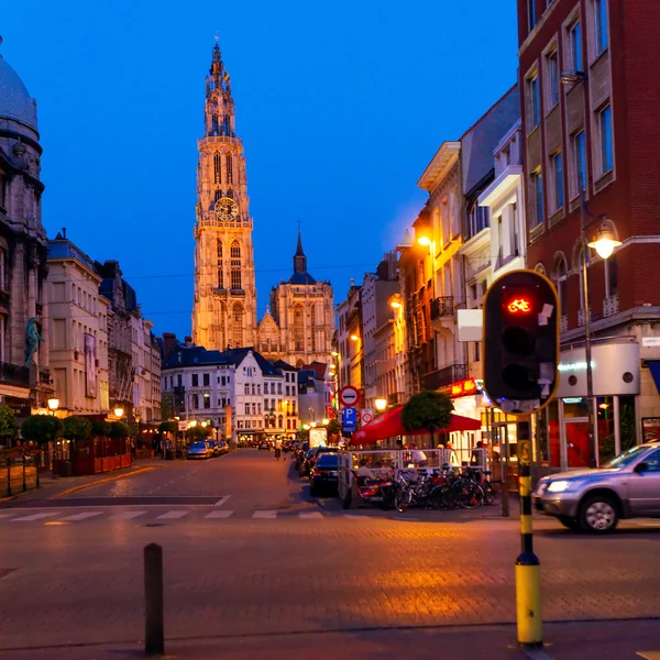 Gothic Cathedral at Night, Antwerp, Belgium — Stock Photo, Image