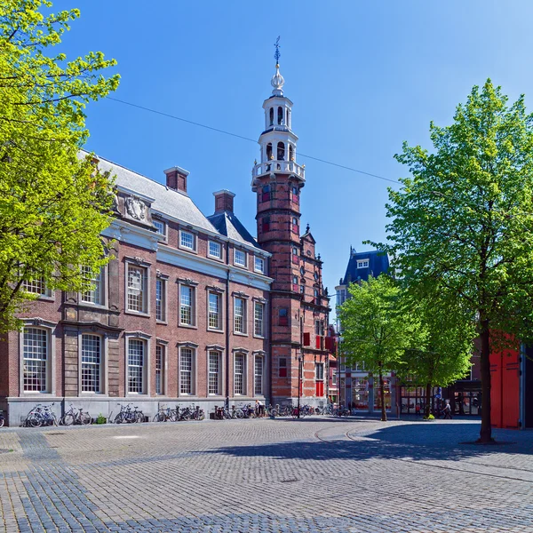 Grote Kerk (Большая Церковь), Hague, Holland — стоковое фото