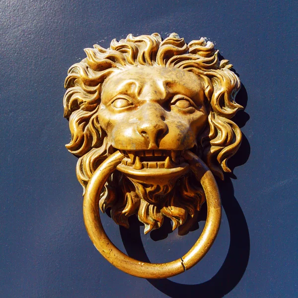 Primo piano del battitore della porta del leone — Foto Stock