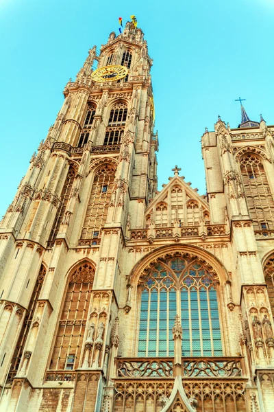 Catedral gótica de noche, Amberes, Bélgica — Foto de Stock