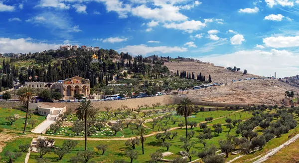 Panorama - Iglesia de todos los Pueblos y Monte de los Olivos, Jerusalén — Foto de Stock